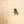 Load image into Gallery viewer, Lyndonn Polo
